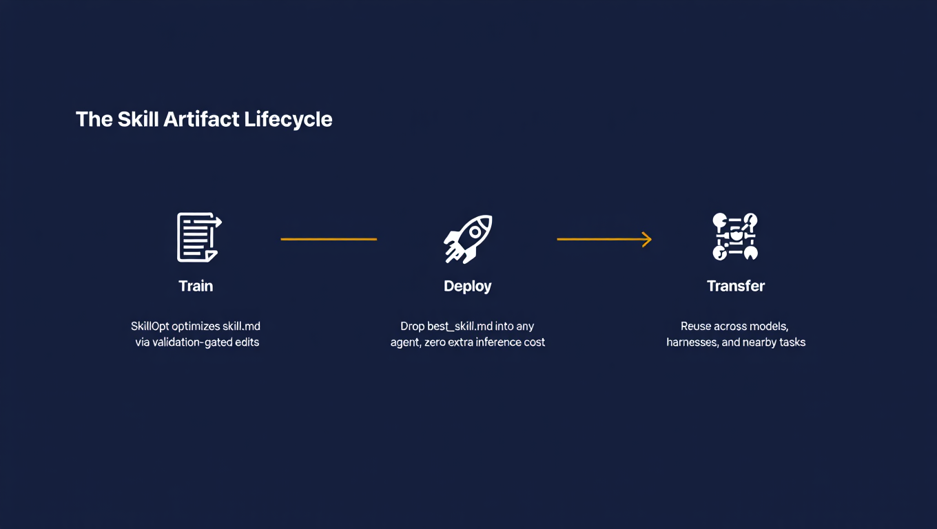 The Skill Artifact Lifecycle: from training to deployment to transfer across models