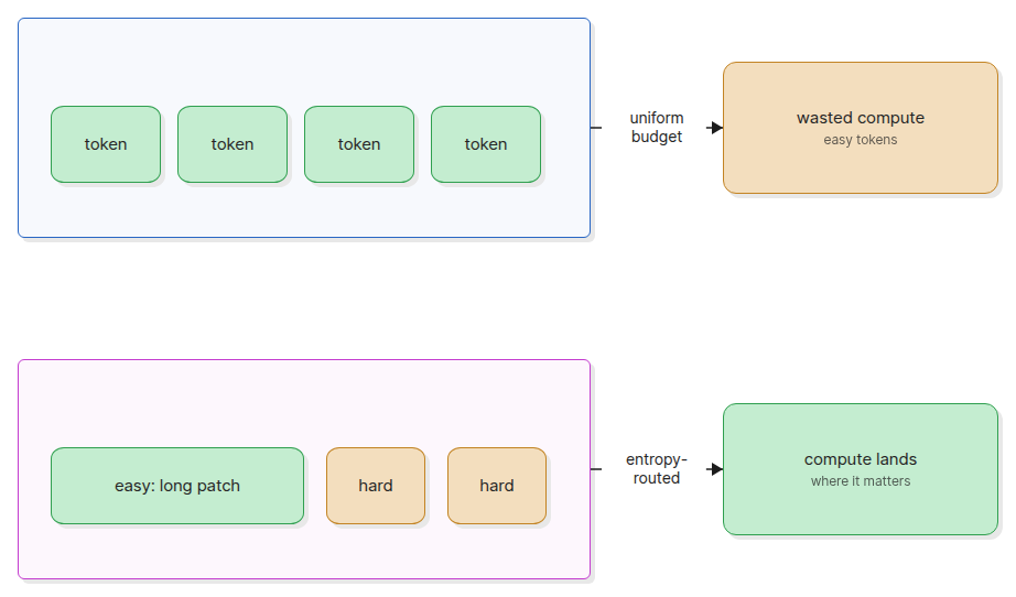 Compute allocation diagram comparing uniform token compute with dynamic byte patch compute