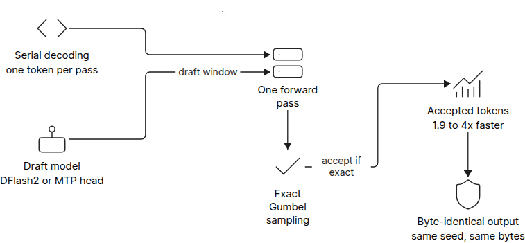Diagram of TensorFold exact speculative decoding with draft model, lane batch verification and byte-identical output
